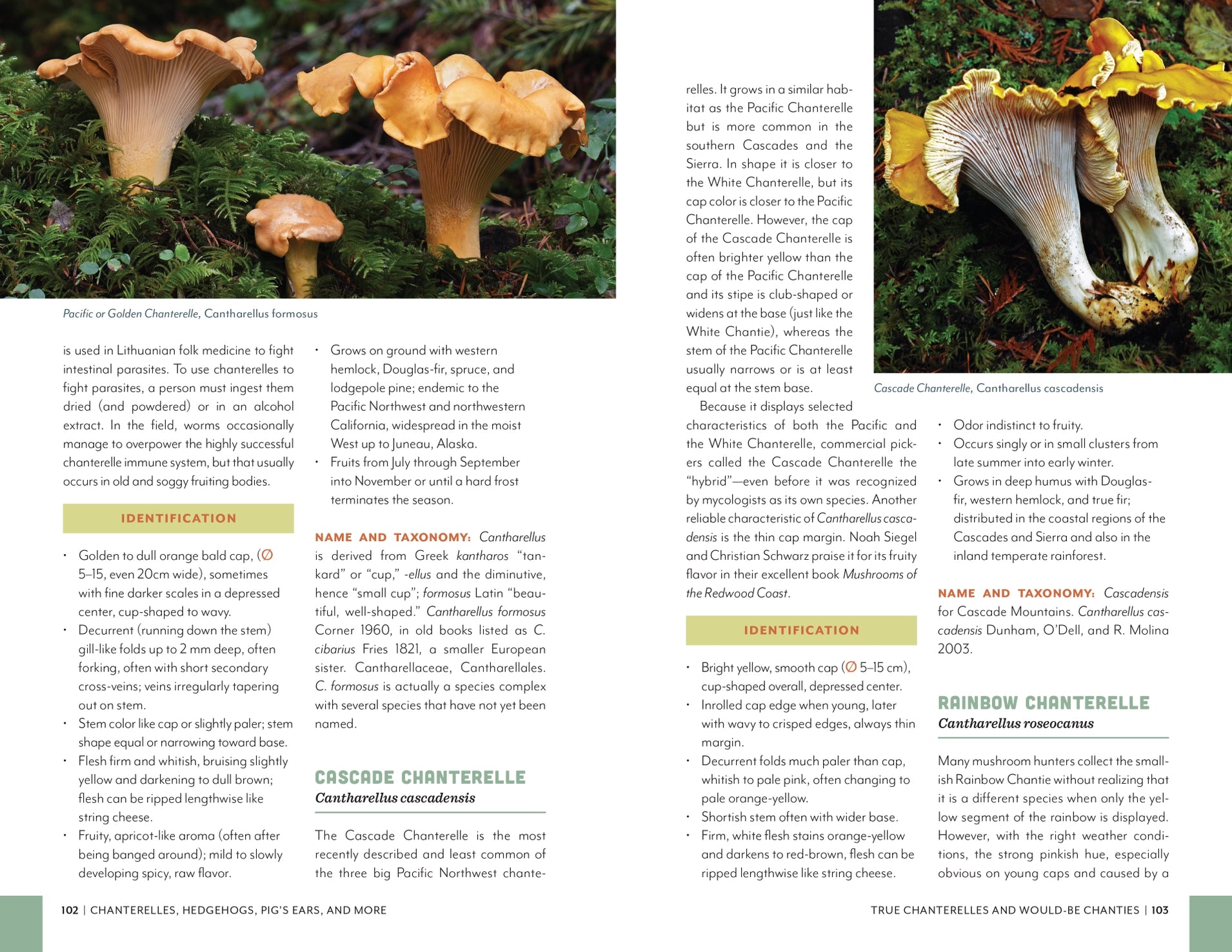 Fruits of the Forest: A Field Guide To PNW Edible Mushrooms