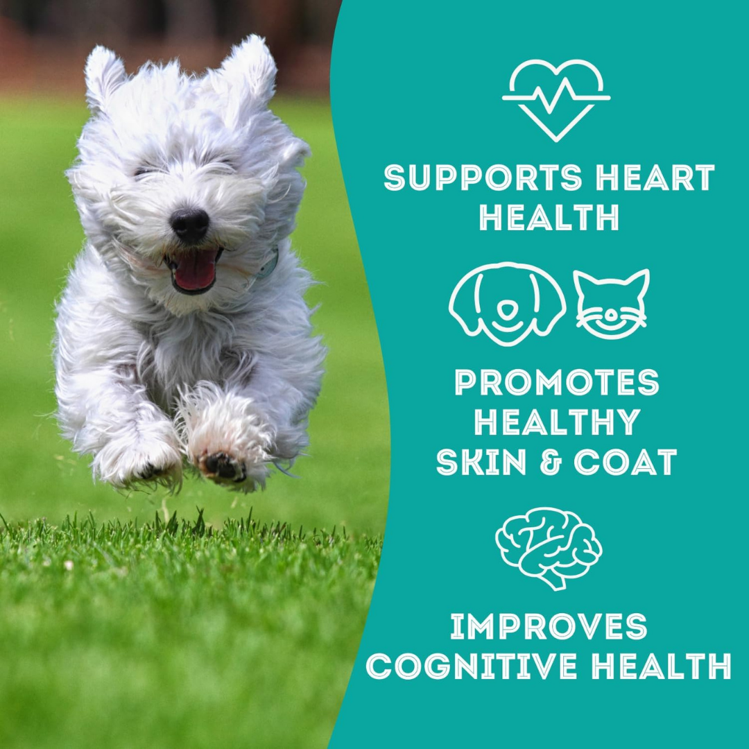 The Granville Island Pet Treatery - Salmon & Tuna Dehydrated Pet Treats: Omega-3 & High-Protein