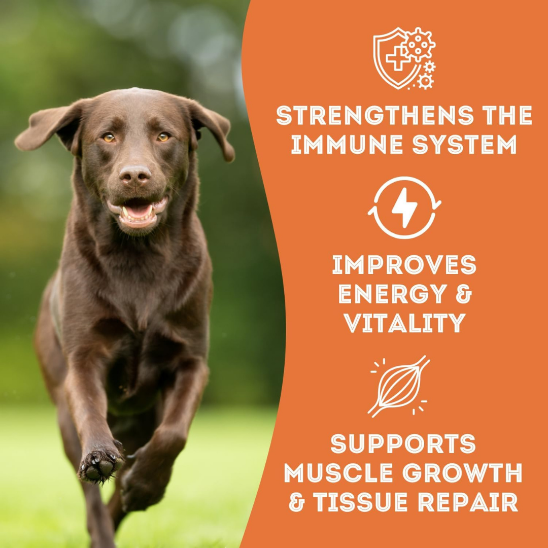 The Granville Island Pet Treatery - Pork Liver Dehydrated Pet Treats: High-Protein & Omega-3