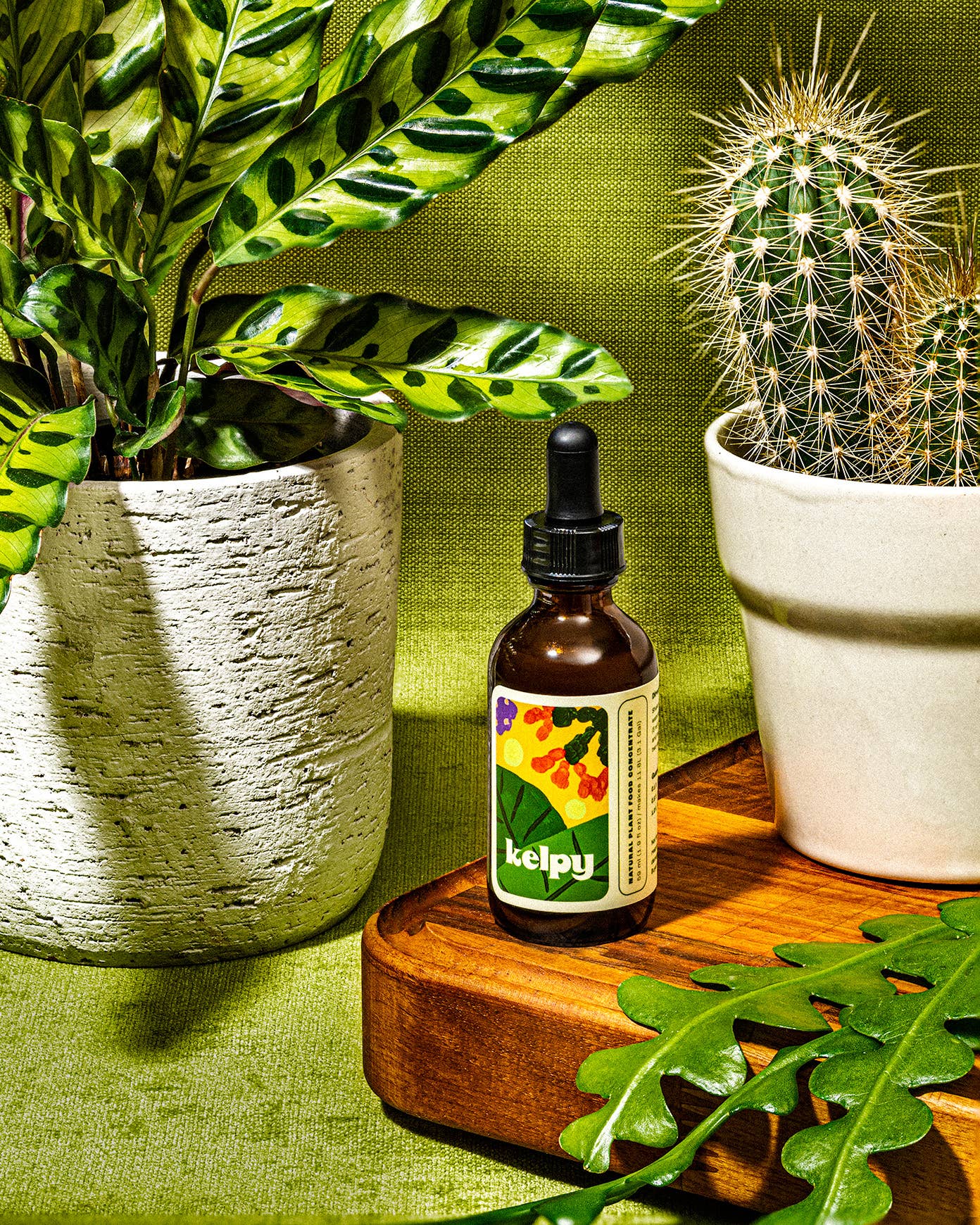 Kelpy Plant Food Small Size 59 ml