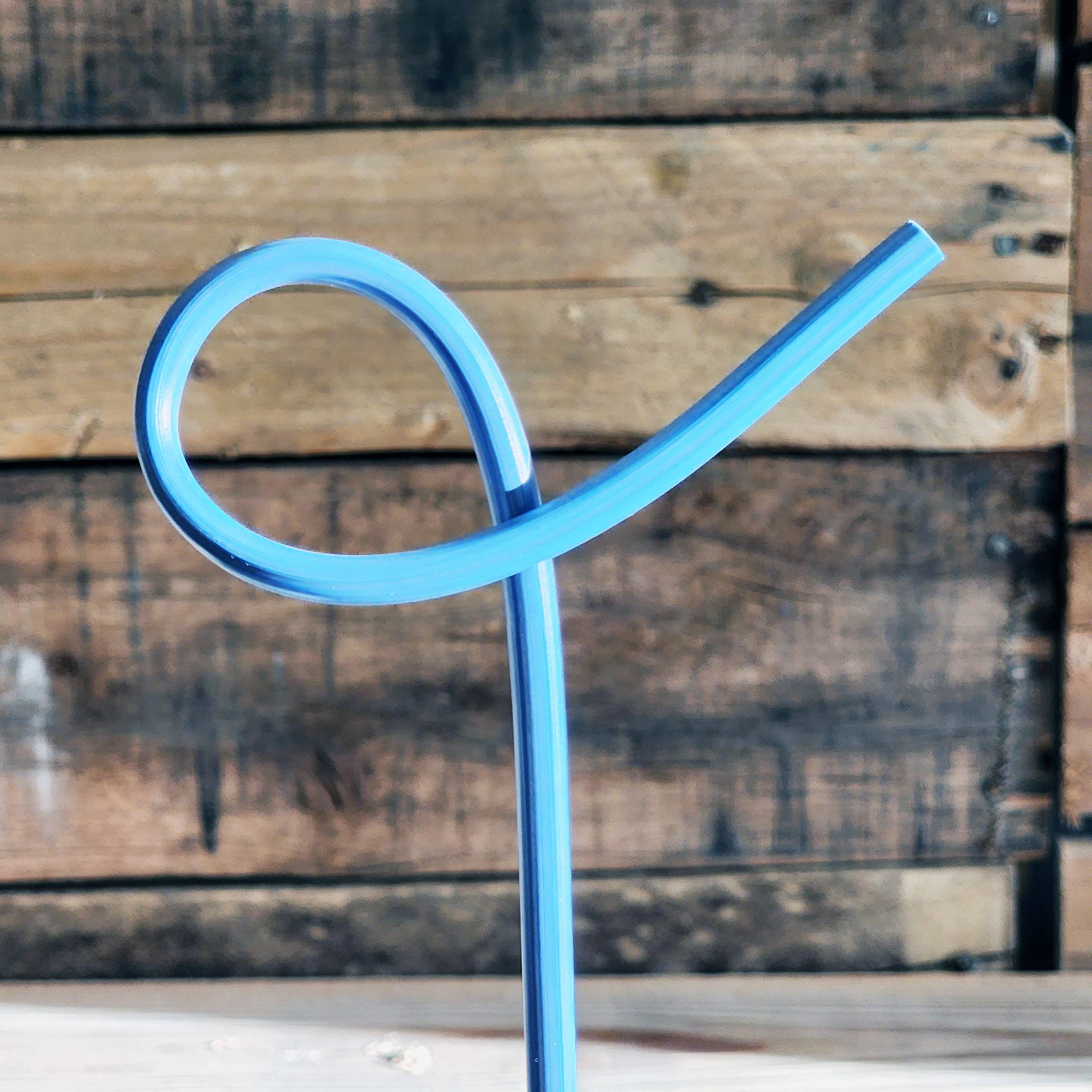 The Rogerie - Strawsome Straws