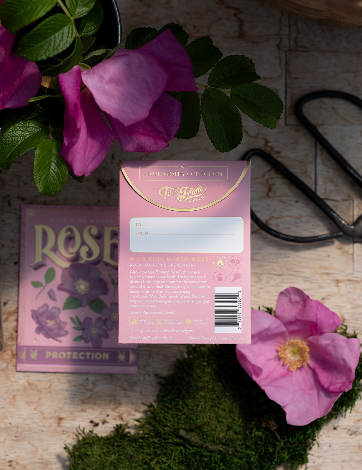 Wild Pink Rose Seed Packet - Protection (To & From Seed Co)