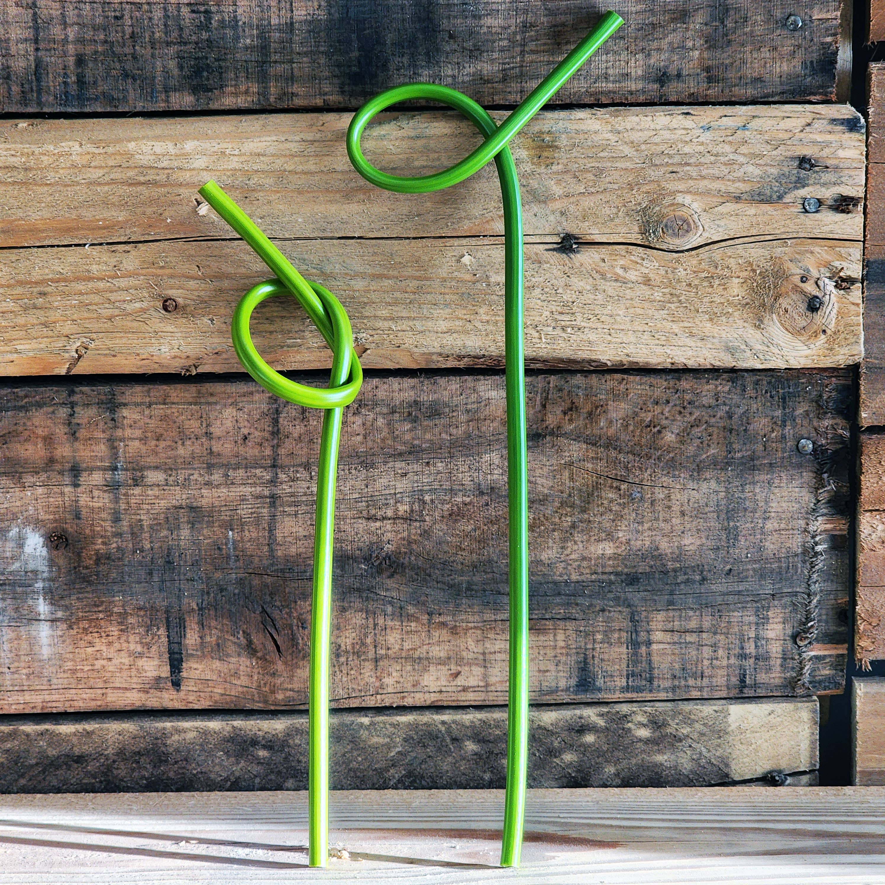 The Rogerie - Strawsome Straws