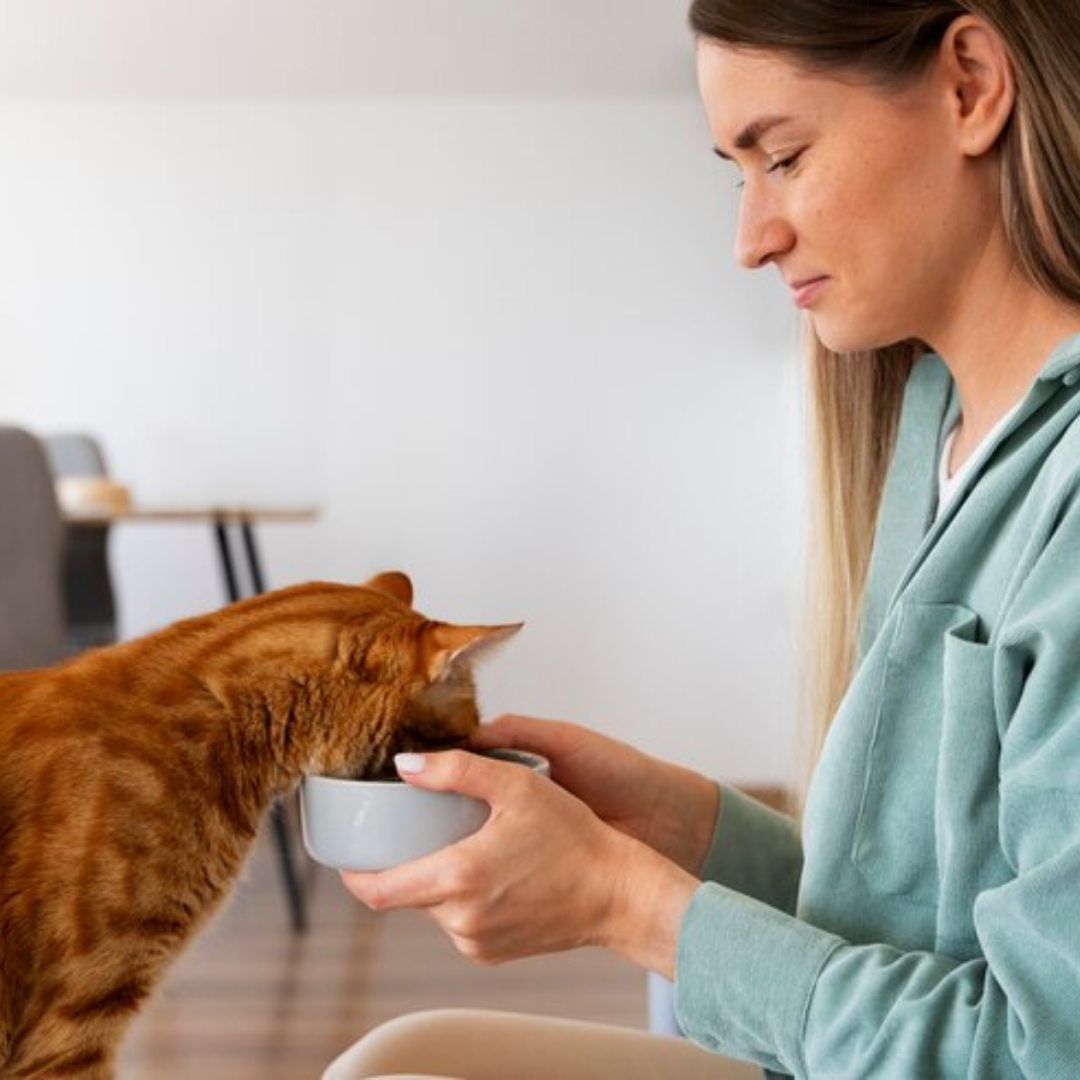 The Granville Island Pet Treatery - Pork Liver Dehydrated Pet Treats: High-Protein & Omega-3