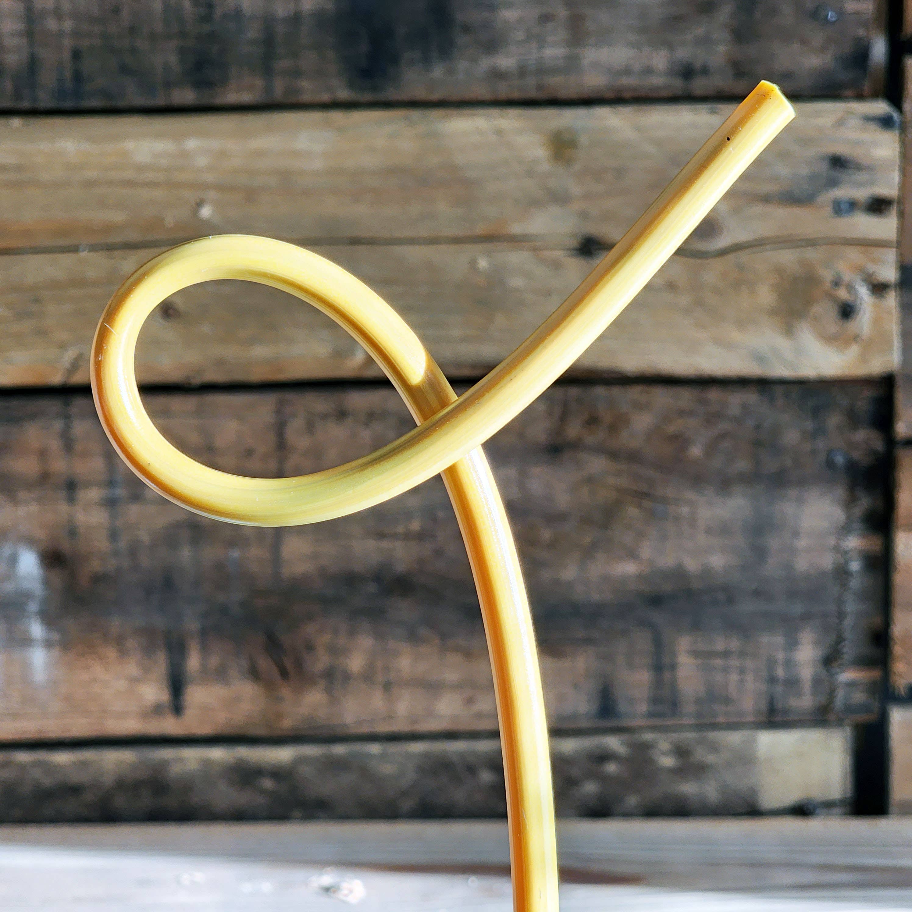 The Rogerie - Strawsome Straws