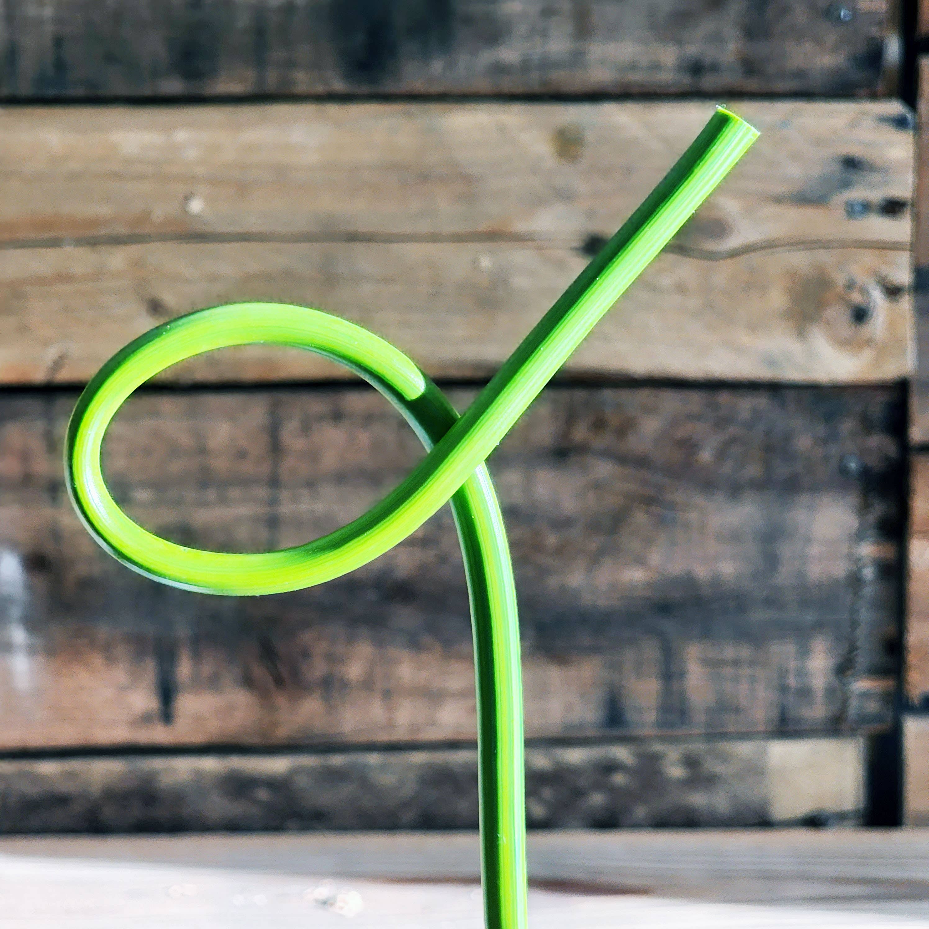 The Rogerie - Strawsome Straws