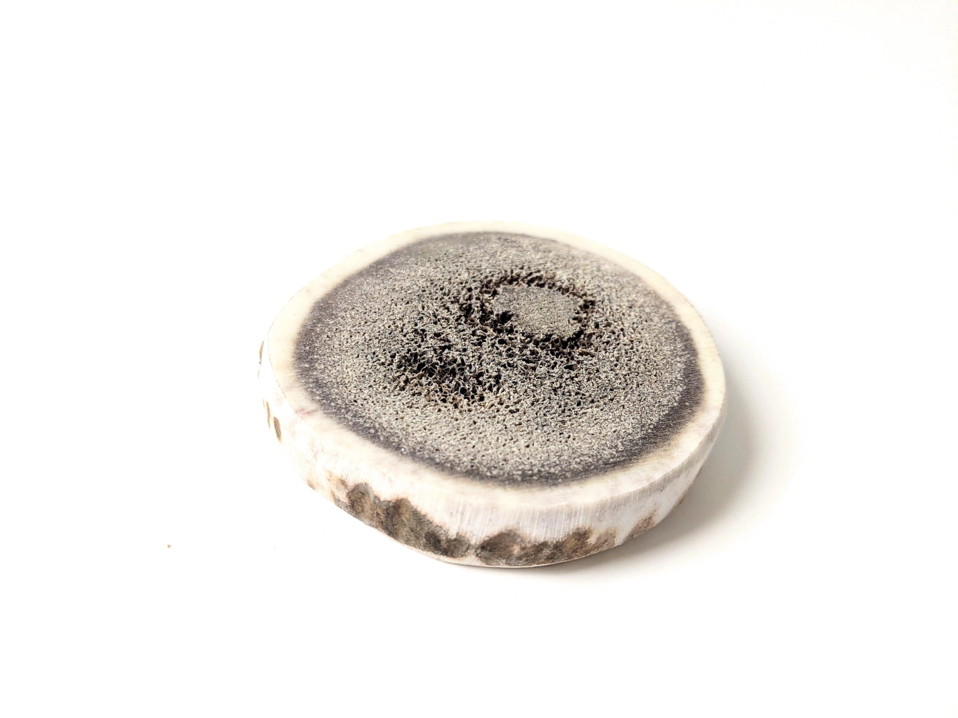 Antler Medallion Dog Chew