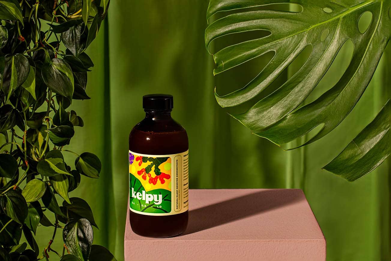Kelpy Plant Food Medium Size 250ml