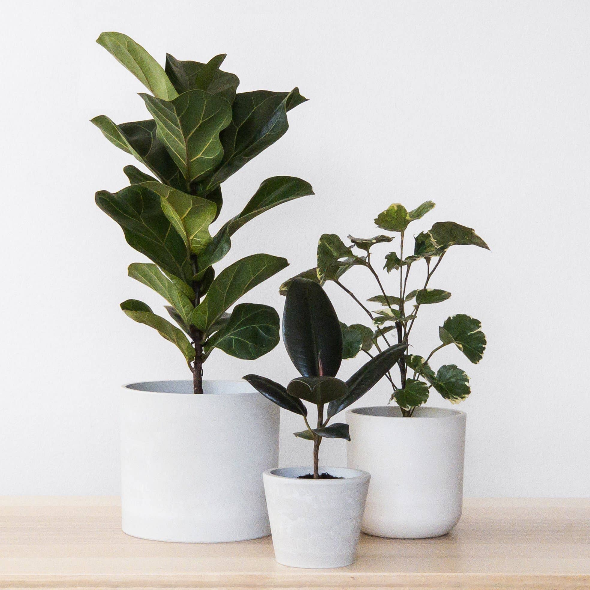 Kanso Designs - 4" Signature Stone Planter Pot