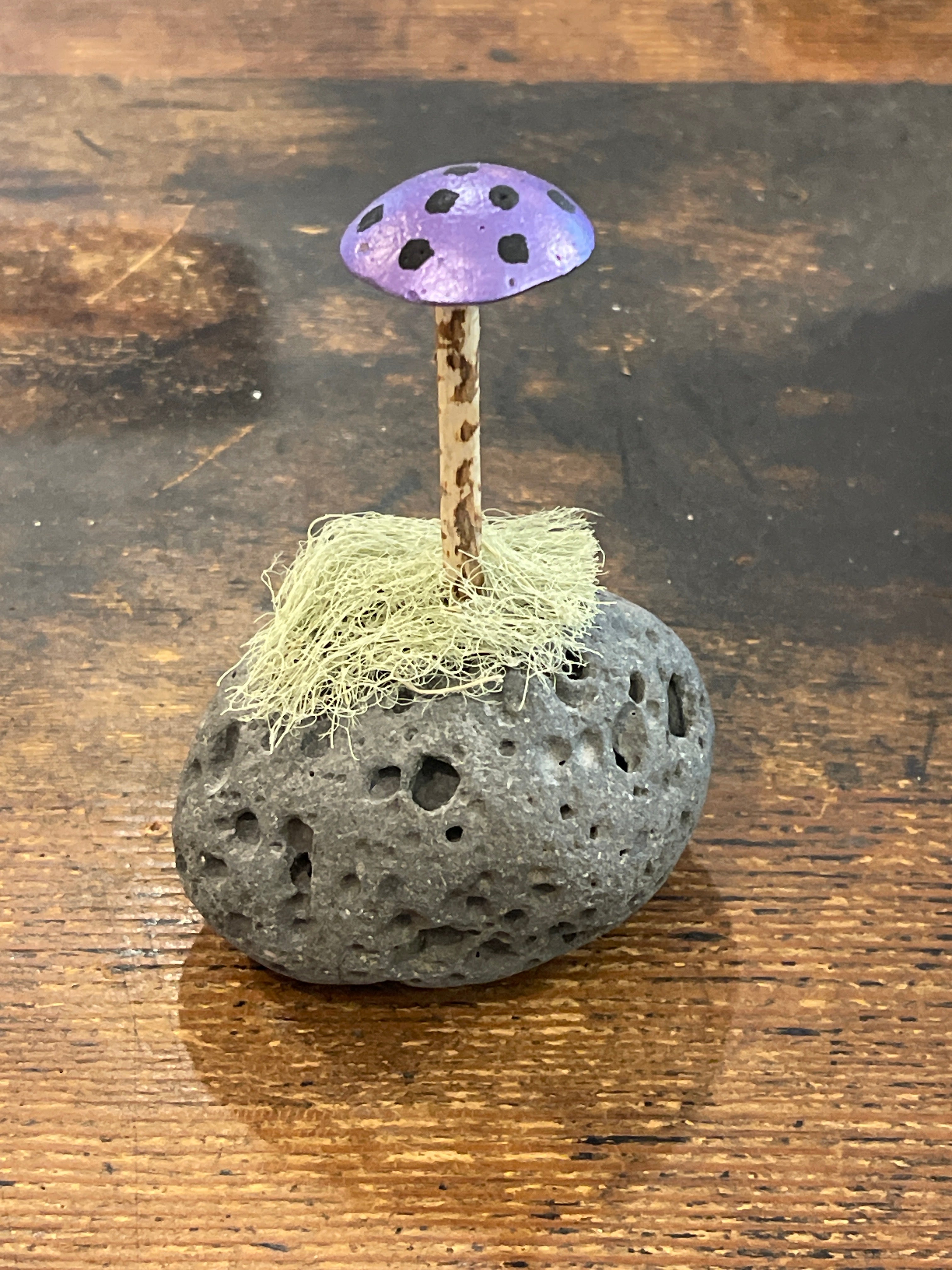 Wood Toadstool on Mossy Rock Base