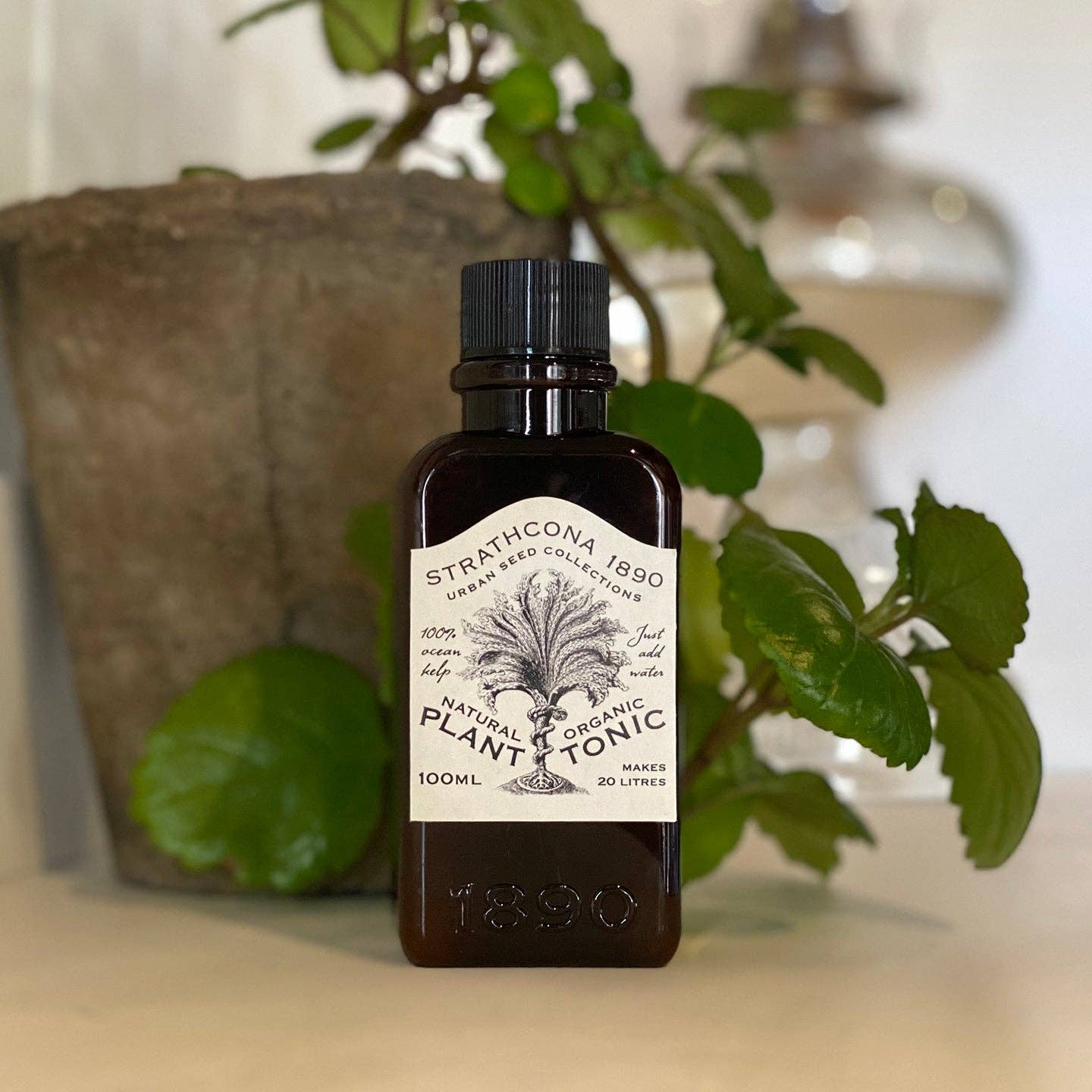 Strathcona 1890 - Plant Tonic 100ml