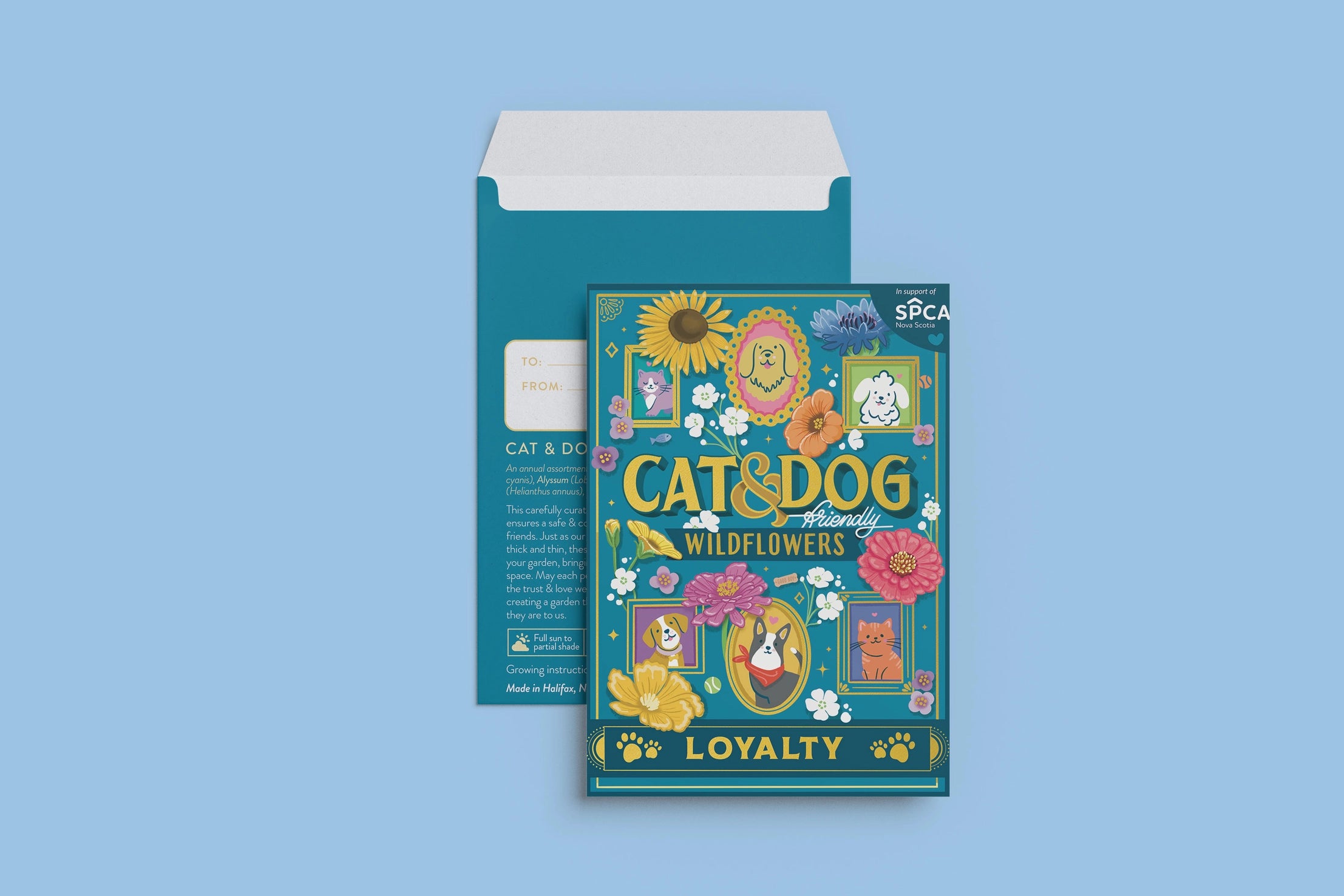 Cat and Dog-Friendly Wildflowers - Loyalty (To & From Seed Co)