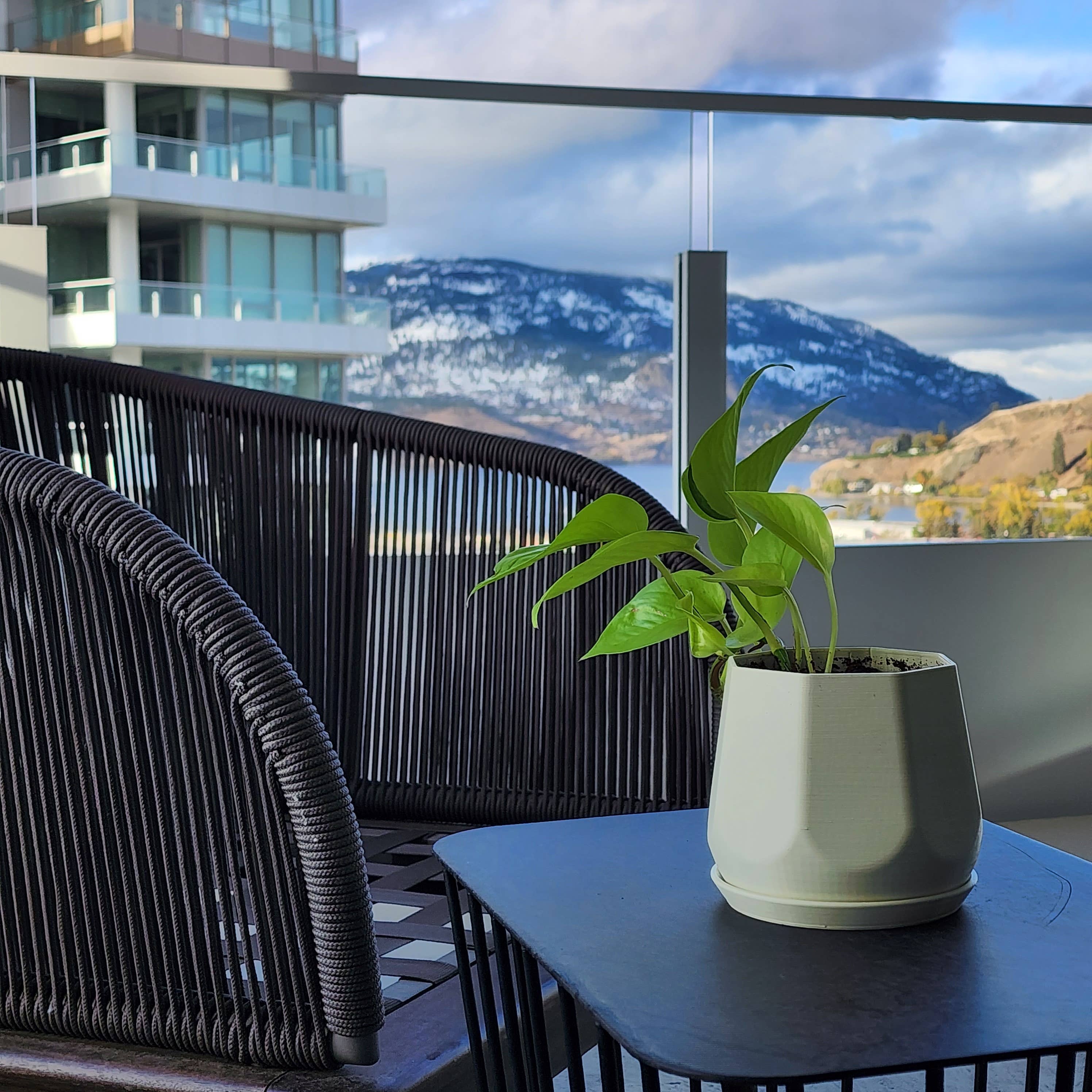 The Rogerie - Self-watering Planter [Felicity]