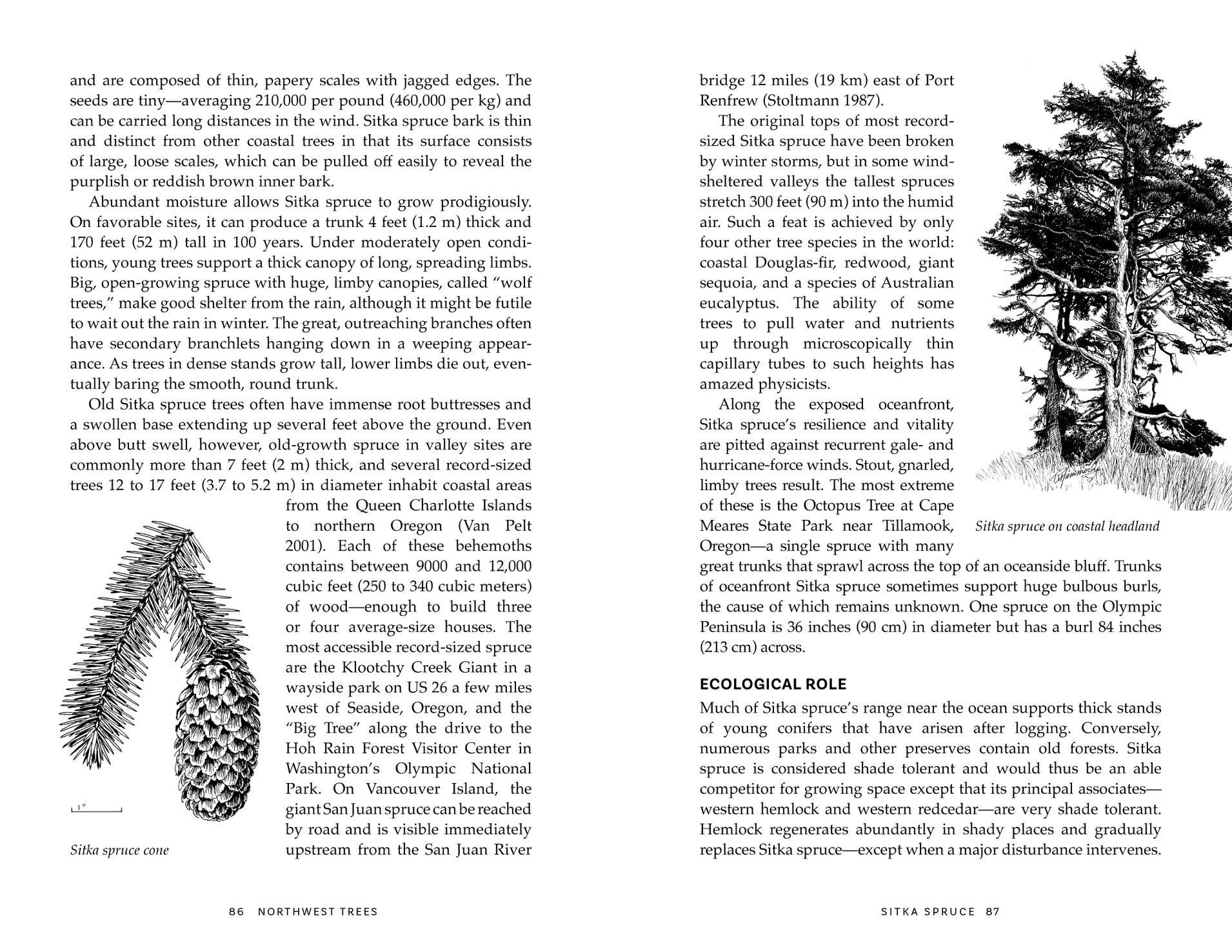 Northwest Trees (2nd Edition) - Stephen F. Arno & Ramona P. Hammerly