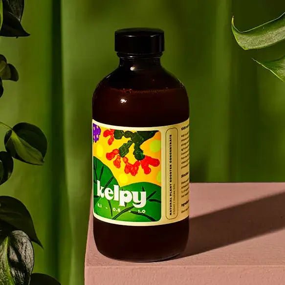 Kelpy Plant Food Medium Size 250ml