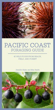 Pacific Coast Foraging Guide