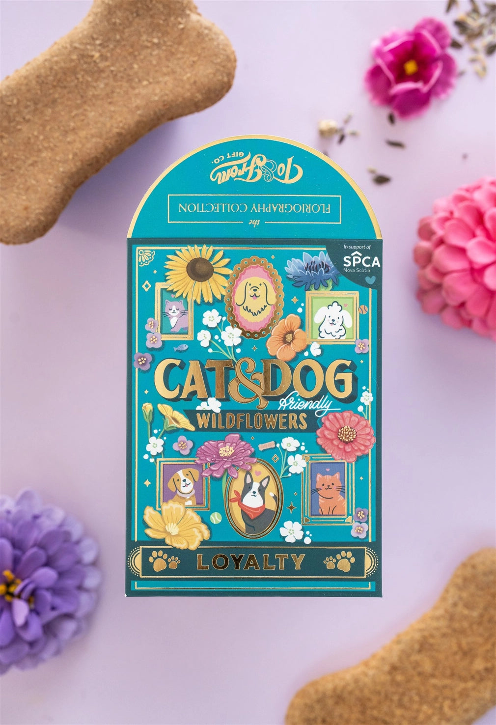 Cat and Dog-Friendly Wildflowers - Loyalty (To & From Seed Co)