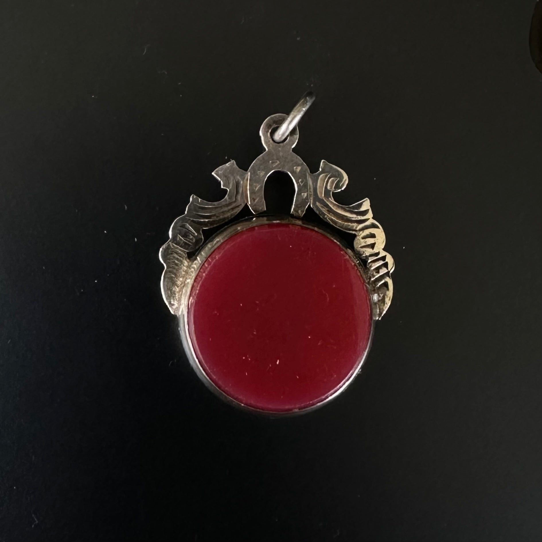 Bloodstone & Carnelian Horseshoe Silver Pendant