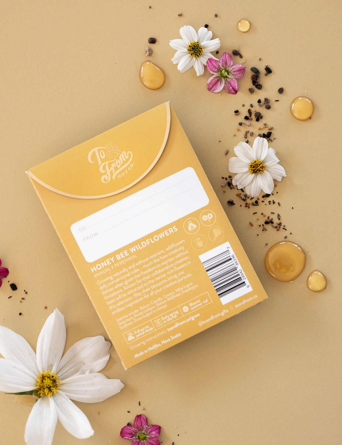 Honey Bee Wildflowers (Creativity) - Floriography Seed Packet (To & From Seed Co)