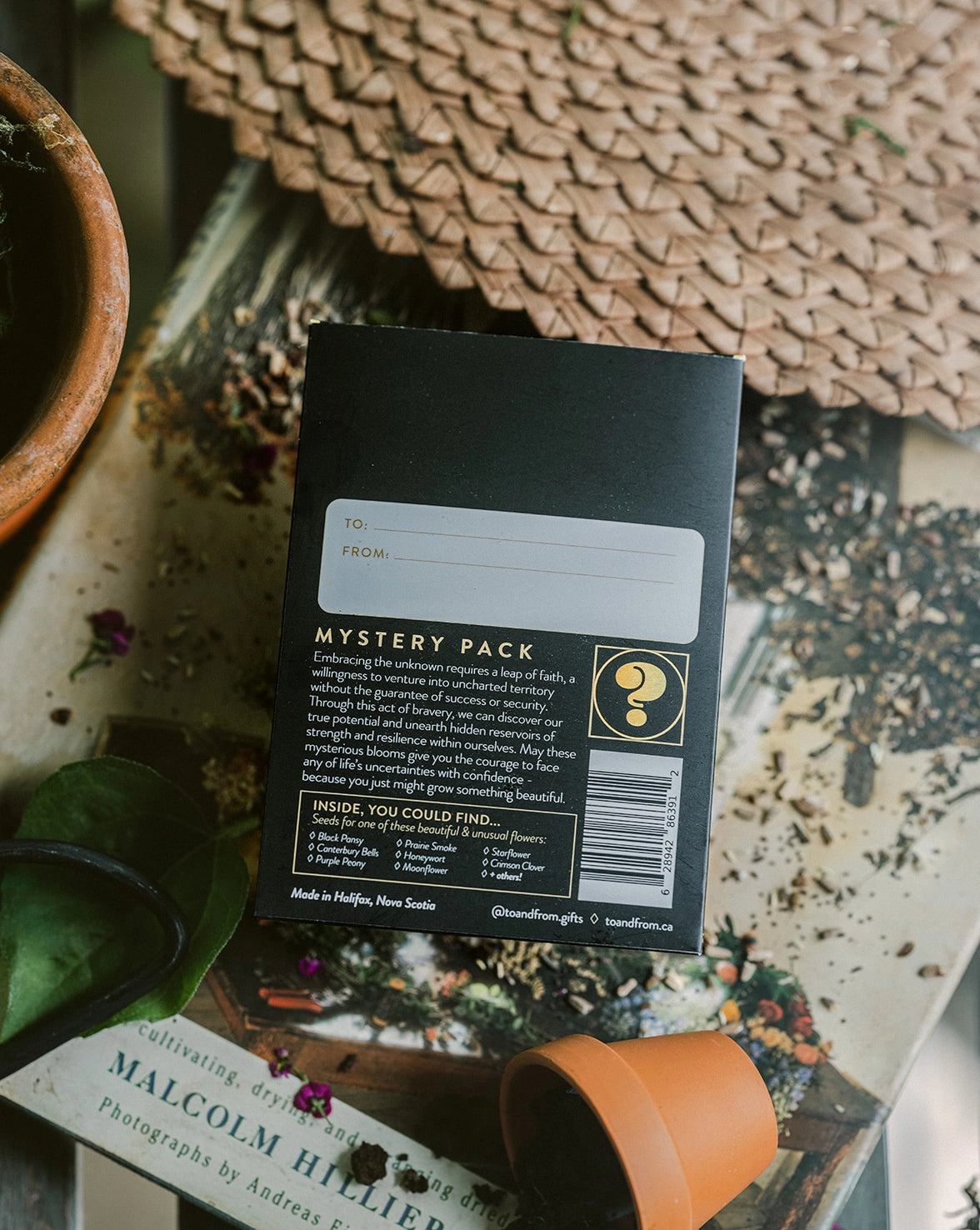 Mystery Seed Packet - Bravery (To & From Seed Co)