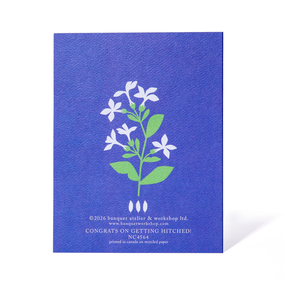 Banquet Workshop - Congrats On Getting Hitched Wedding Note Card