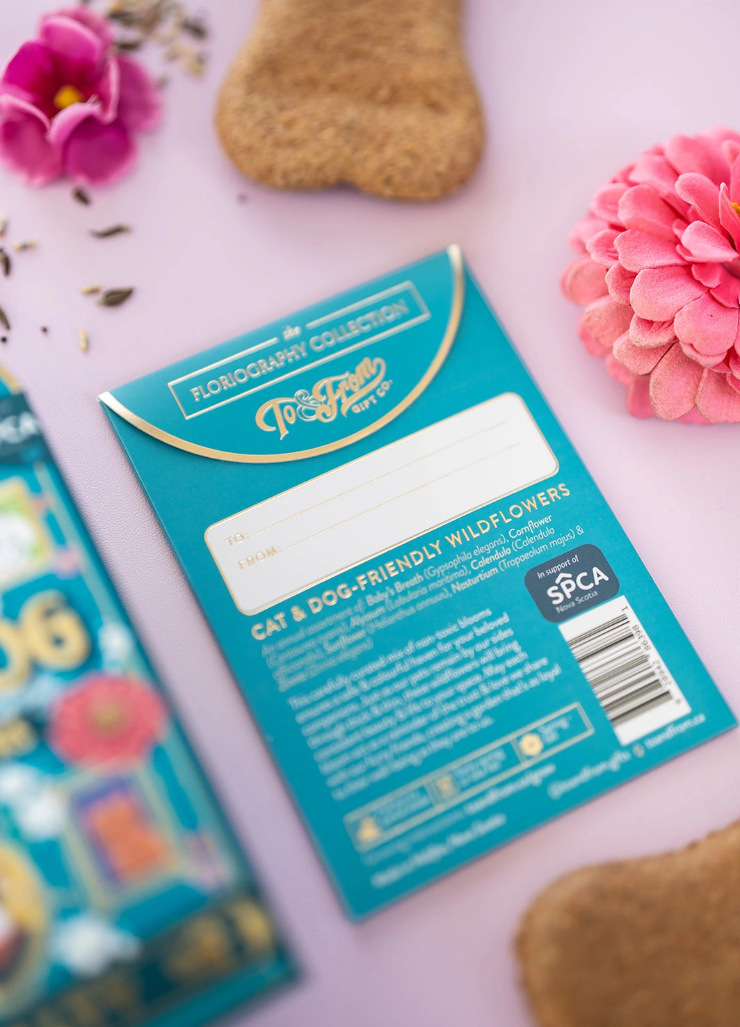Cat and Dog-Friendly Wildflowers - Loyalty (To & From Seed Co)