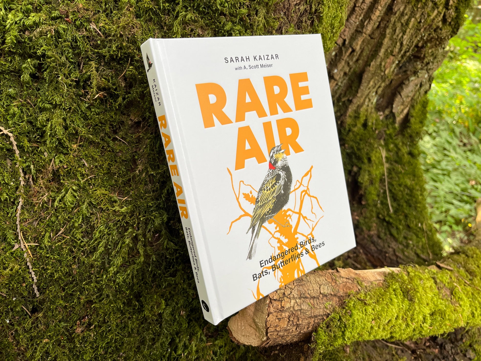 Rare Air: Endangered Birds, Bats, Butterflies & Bees - Sarah Kaizer