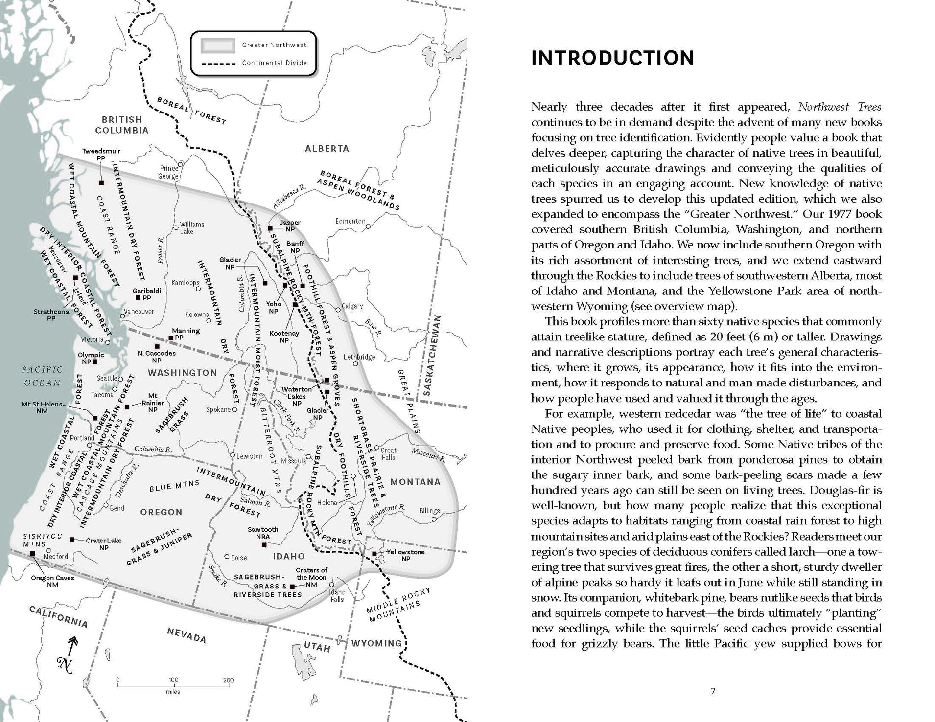 Northwest Trees (2nd Edition) - Stephen F. Arno & Ramona P. Hammerly