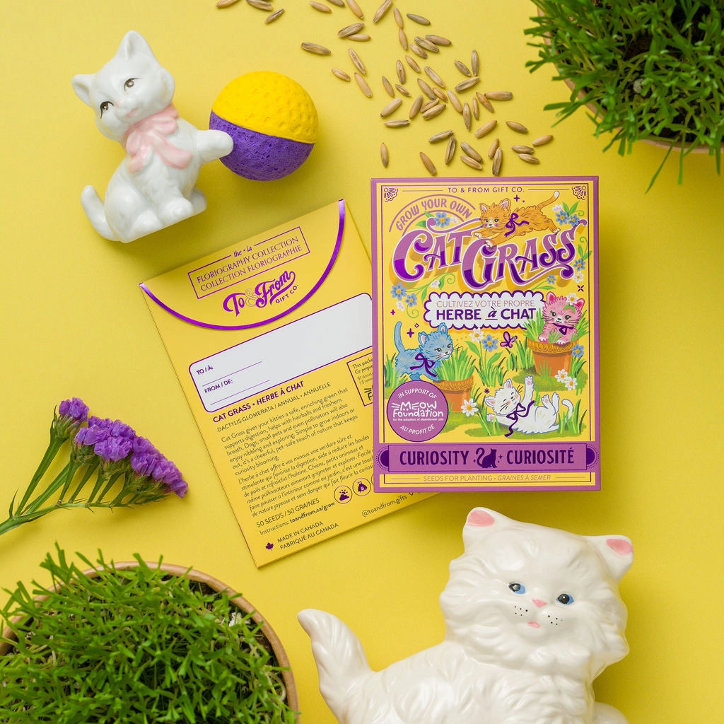 Cat Grass (Curiosity) - Floriography Seed Packet (To & From Seed Co)
