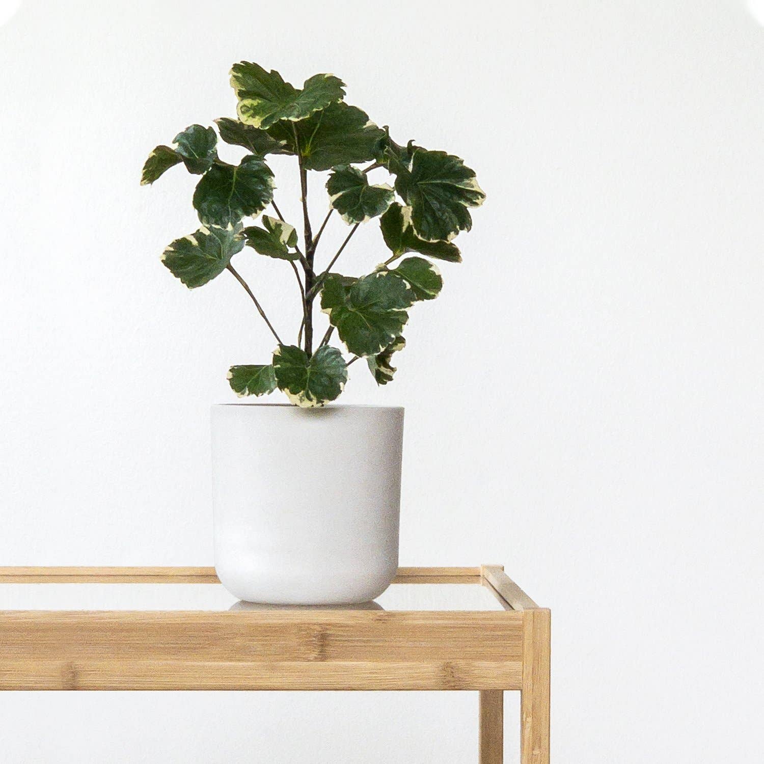 Kanso Designs - 4" Signature Stone Planter Pot