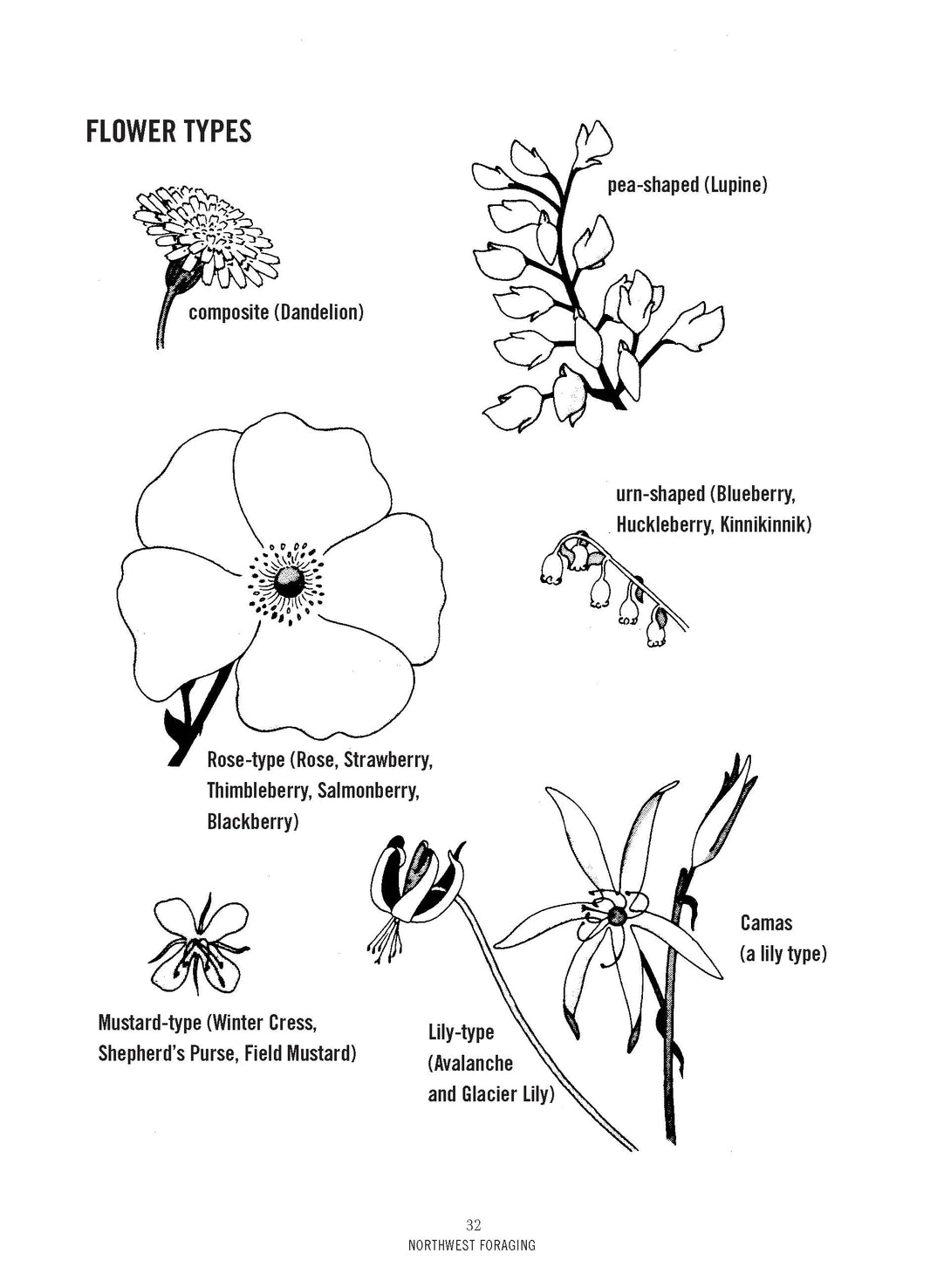 Northwest Foraging - Doug Benoliel