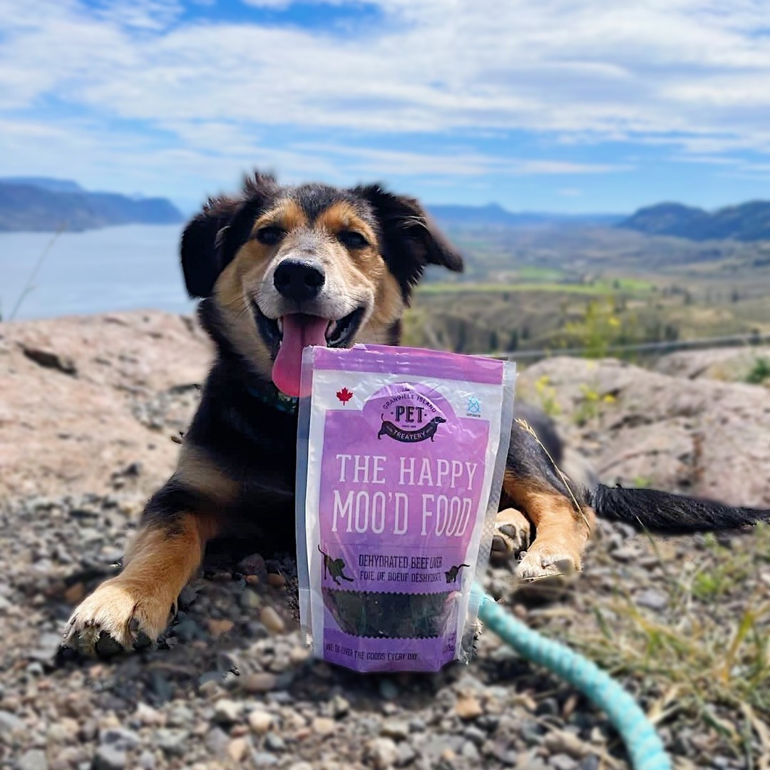 The Granville Island Pet Treatery - Beef Liver Dehydrated Pet Treats: High-Protein & Vitamin